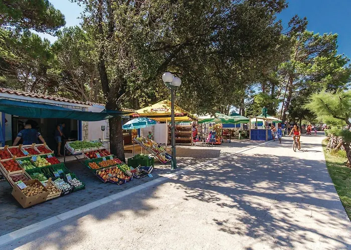 Front In With Kitchen Punat